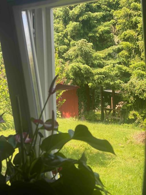 Familienfreundliches Landhaus "Karin" Mit Pool Struppen Exterior foto